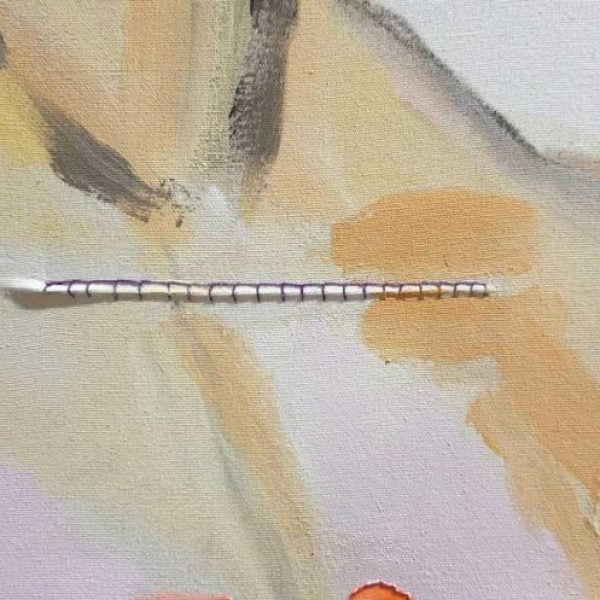 detail, Adamsappel, 85 x 65 cm, acrylverf, garen, wol, linnen roosje, vlindervleugel detail, Adamsappel, 85 x 65 cm, acrylverf, garen, wol, linnen roosje, vlindervleugel